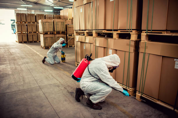 Best Best Pest Control Companies  in Aransas Pass, TX