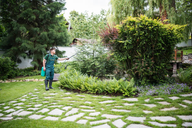 Best Best Pest Control Companies  in Aransas Pass, TX