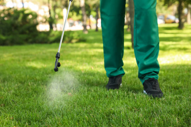Best Best Pest Control Companies  in Aransas Pass, TX