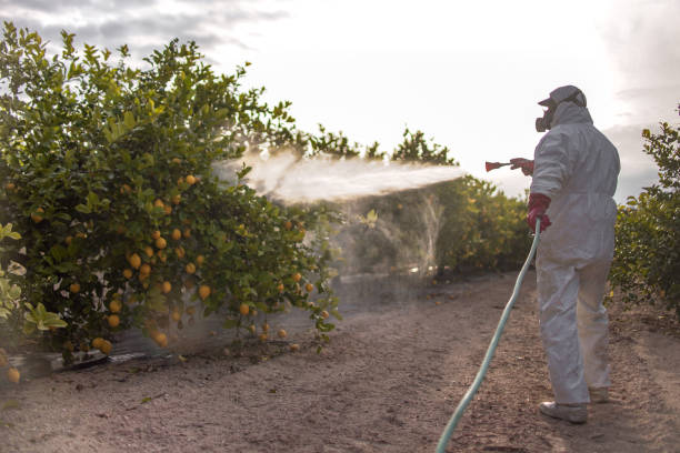 Best Emergency Pest Control  in Aransas Pass, TX