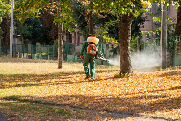Best Wasp Removal Services  in Aransas Pass, TX