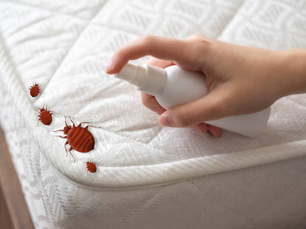 Best Mosquito Control Services  in Aransas Pass, TX
