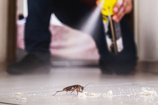 Best Cockroach Control Services  in Aransas Pass, TX