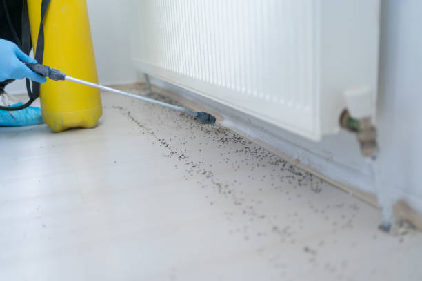 Best Exterminator Services  in Aransas Pass, TX