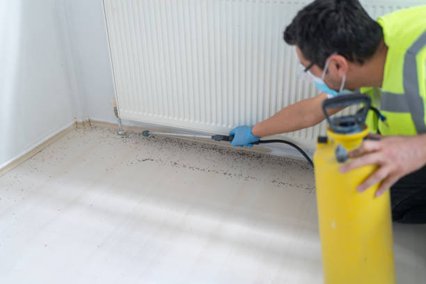 Best Local Pest Control Services  in Aransas Pass, TX